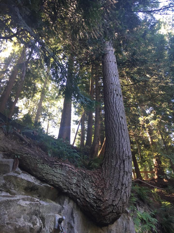 21192136_10154687290231121_7299694398136833529_n