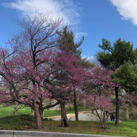 31879943_10155243442816121_5246258747692548096_o